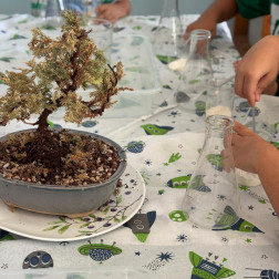 🧪 Bilim Atölyesinde Keşif Zamanı!