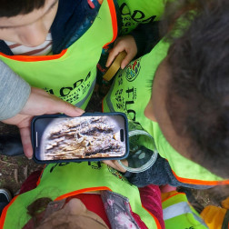 🔍 Mikroskobik Keşifler