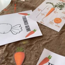 Turuncu Renk Etkinliği 🥕