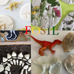 Geçmişin İzinde: Fosil Atölyesi