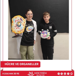 HÜCRE VE ORGANELLER ETKİNLİĞİ