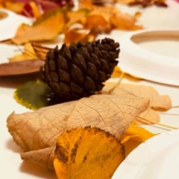 Doğa Sanatı: Sonbahar Yaprak Koleksiyonu