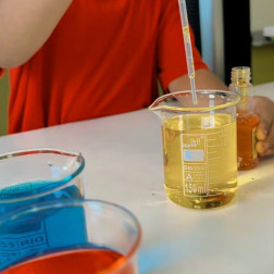 RENKLERİN BÜYÜSÜ