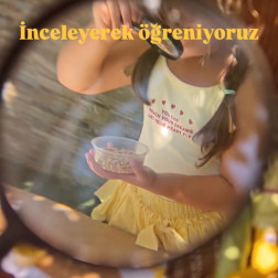 Mısır Partisi ( ekoloji dersi )