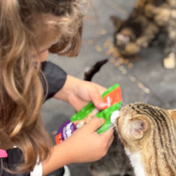 Hayvanları Koruyalım