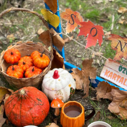 Kartaltepe şubemizde Sonbahar