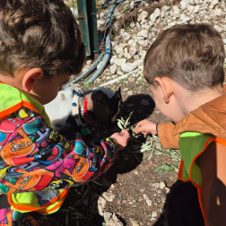 Keşfederek Öğreniyoruz! 🔍