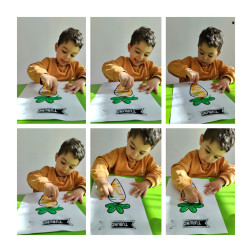 🥕 Turuncu Rengini Öğreniyoruz