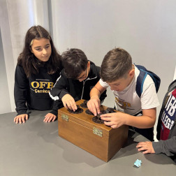 Matematik hayatın her yerinde! 🔭📏