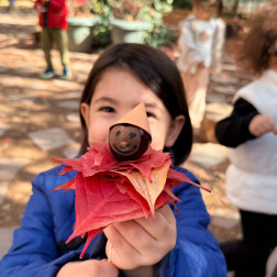 🍁 Miya Akademi Anaokulu’nda Sonbahar Coşkusu! 🌰
