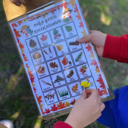 Doğa Gezisi Koleksiyonum!