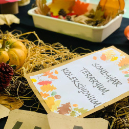 🍂 Özel Neşeli Gözler Akademi Anaokulu’nda Sonbahar Teraryumları 🌿