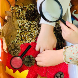 🍂 Özel Neşeli Gözler Akademi Anaokulu’nda Sonbahar Teraryumları 🌿