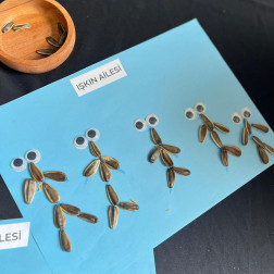 Çekirdekten Çekirdek Ailem Etkinliğimiz!