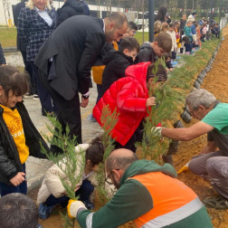 Yeşil Vatan- Fidan Dikme Etkinliğimiz