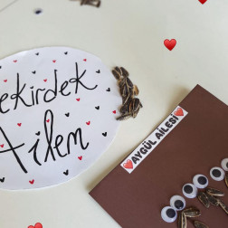Çekirdeklerden Ailemi Oluşturuyorum