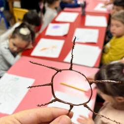 Örümcek Ağı Deneyi 🕸️🔬