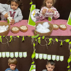 Fasulyemi Ekiyorum 🌱💧