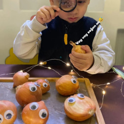 Soğanlarla Bilim Keşfi 🧅🔍