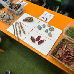 Doğadan Topladık, Grupladık 🍂🌿