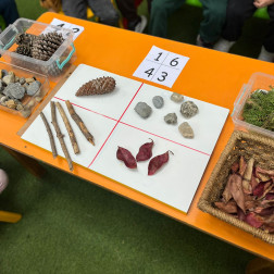 Doğadan Topladık, Grupladık 🍂🌿