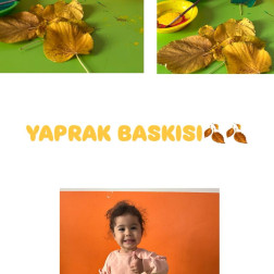 Yaprak Baskısı 🍁
