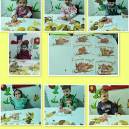 Sonbahar Arabam 🍂