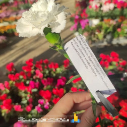 10 Kasım Atatürk’ü Anma Günü