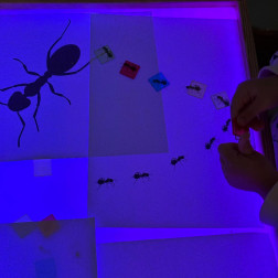 Toprağın Altında Saklı Hikâyeler!