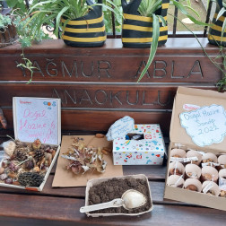 11 Kasım Milli Ağaçlandırma Günü