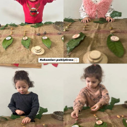 Rakamları Pekiştirme Etkinliğimiz!