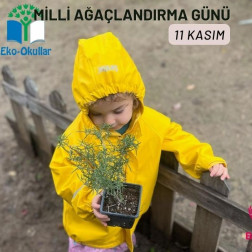 11.11 Dünya Milli Ağaçlandırma Günü