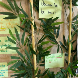 böcekler diyarına yolculuk