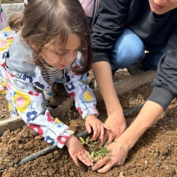 Bahçe işleri, bostan kullanımı