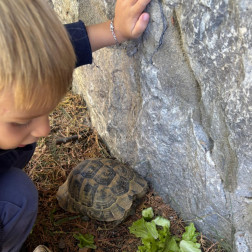 Bahçedeki tosbağalarımızı besleme zamanı!