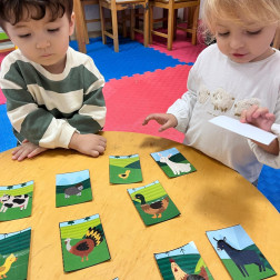 Hayvan Kartları ile Eşleştirme Oyunu