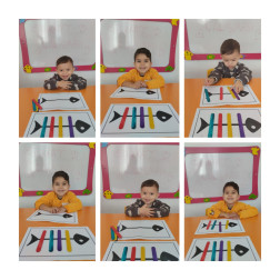 Renkli Çubuklarla Dikkat Çalışması