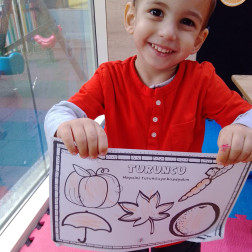 Turıncu Renk günü