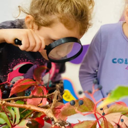 Sonbaharı Keşfediyoruz