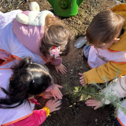 🌱 Orman Haftası – Tohum ve Fidan Dikim Etkinliğimiz 🌱