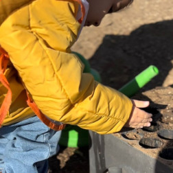🌱 Orman Haftası – Tohum ve Fidan Dikim Etkinliğimiz 🌱