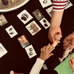 Sevimli Hayvanlar ve Hayvanları Koruma Günü Etkinliği