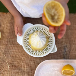 Renkli Yaz Lezzetleri Karpuz ve Limonata Şenliği