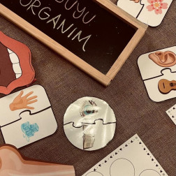 Beş Duyumuzla Keşfetme Zamanı