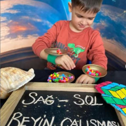 Sağ–Sol Beyin Gelişim Atölyesi