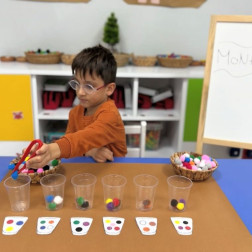 Renkli Ponponlarla Montessori Sınıflandırma Etkinliği