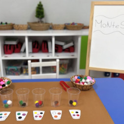 Renkli Ponponlarla Montessori Sınıflandırma Etkinliği