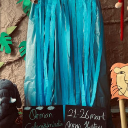 Orman Haftası: Doğayı Keşfediyoruz 🌿💧