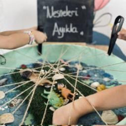 Duyusal Masada “Nesneleri Ayıkla” Çalışması 🧩