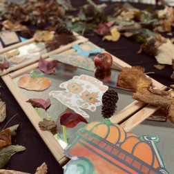 Sonbahar Masamızda Keşif Zamanı 🍂🌰